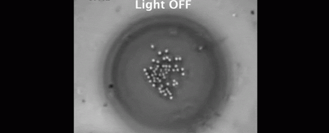 Физики демонстрируют странный эффект: нагревание частиц вызывает их замерзание 