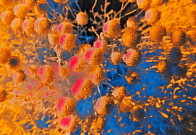 Конкурс научно-популярных работ «Био/Мол/Текст»