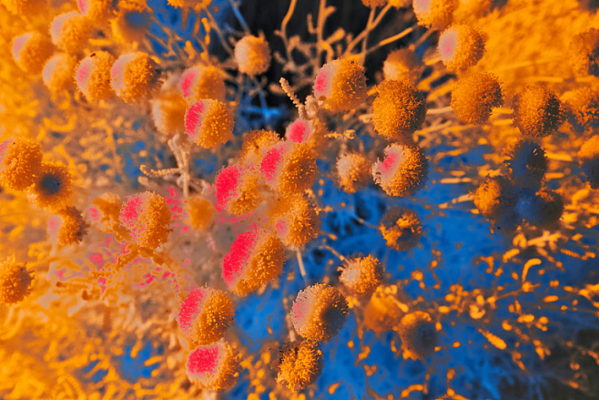 Конкурс научно-популярных работ «Био/Мол/Текст»