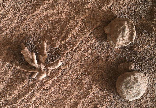 Марсоход Curiosity сделал снимок маленького минерального цветка