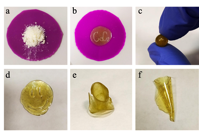 Новые полимеры на основе растительного сырья безвредны для окружающей среды