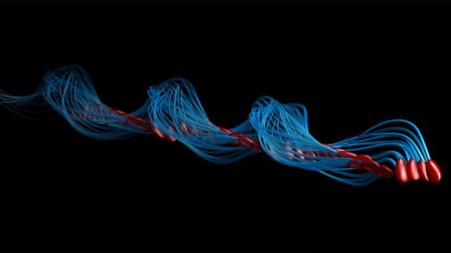 Человеческие сперматозоиды двигаются не так, как считалось ранее 