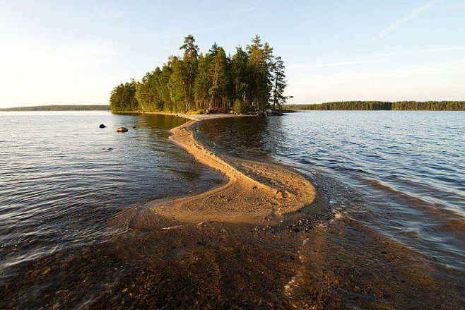 Ученые Пермского Политеха впервые создали экологичный обеззараживатель для воды на основе водорослей и йода