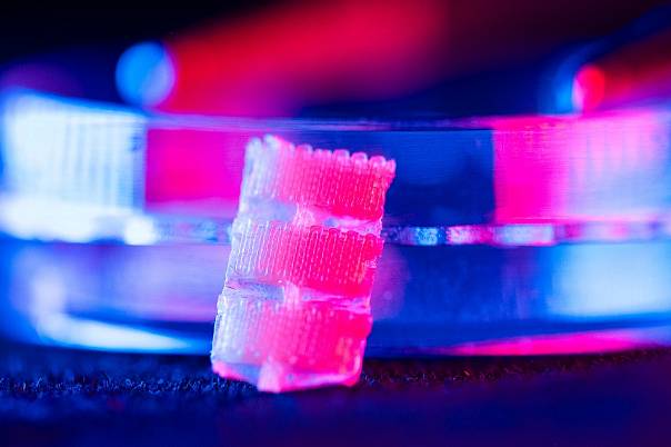 Новый нейроимплантат на шаг ближе к пациентам с травмами спинного мозга