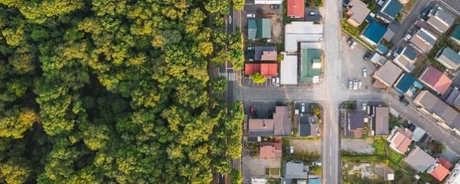 Вес созданных человеком вещей впервые превысил биомассу планеты  