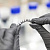 Биоинженеры МИСИС подобрали перспективные составы для 3D-печати ортопедических имплантатов