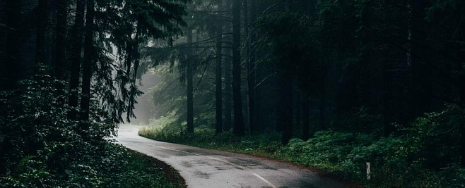 Запах дождя необходим для размножения бактерий