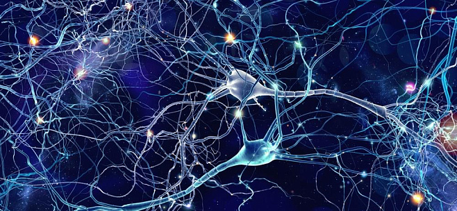 Ученые определили, как нейроны реагируют на наши ошибки